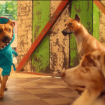 Sinopsis Film Caramelo, Cerita Pedro dan Anjing Kesayangannya