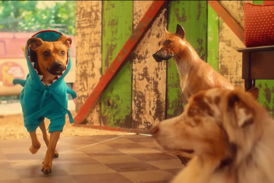 Sinopsis Film Caramelo, Cerita Pedro dan Anjing Kesayangannya